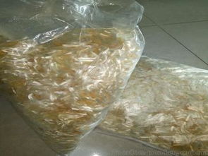 聚酯網狀纖維供應與市場解析 供應商、價格及批發渠道全指南